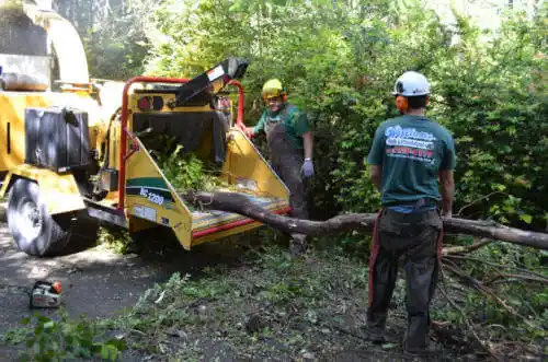 tree services Walnut Grove